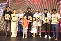 Naa Saami Ranga Movie Success Celebrations Photos